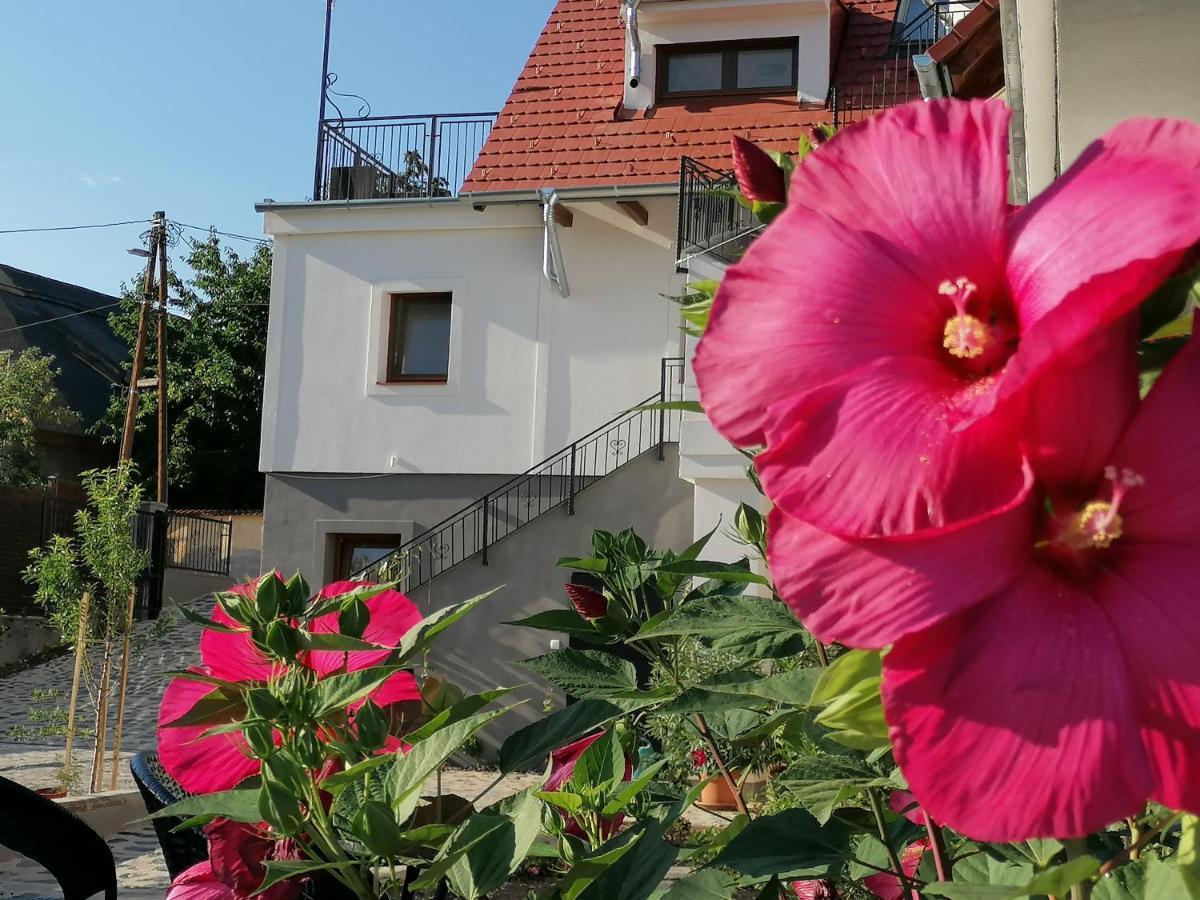 Apartament Szigligeti Mandula Kert Vendeghaz Zewnętrze zdjęcie